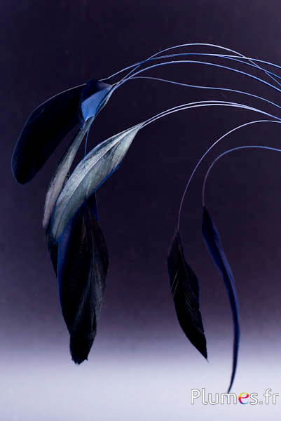 Coquetip - 28-32 cm - blu notte-nero